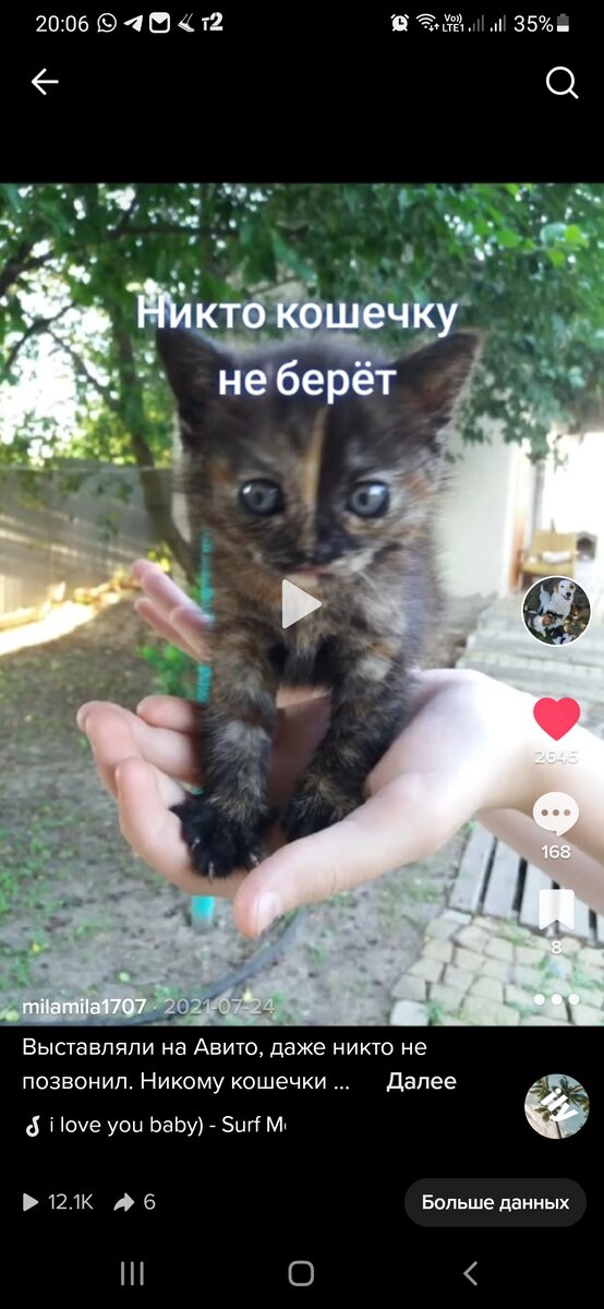 Фото из моего Тик Ток