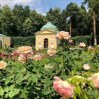 Фото с Фестиваля в свободном доступе в Интернете