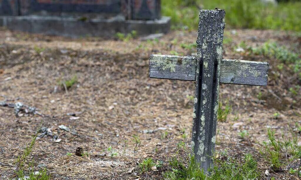 Изображение взято из открытых источников интернета. 