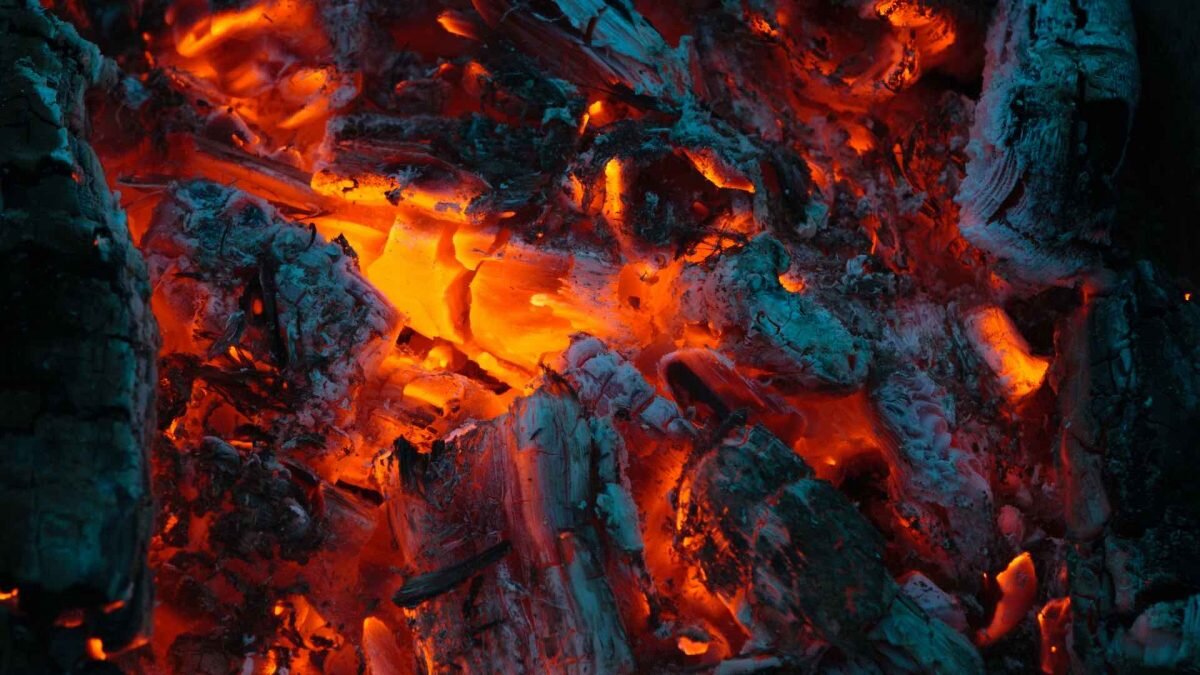    Фото: Unsplash Август Макаров