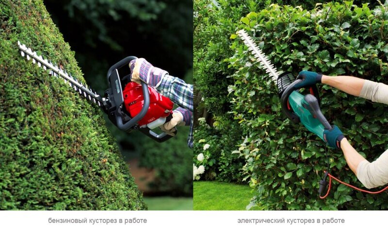 идеи для необычных фотографий. креативная личность. мотивация на успех. перемены в жизни. добиться в жизни.