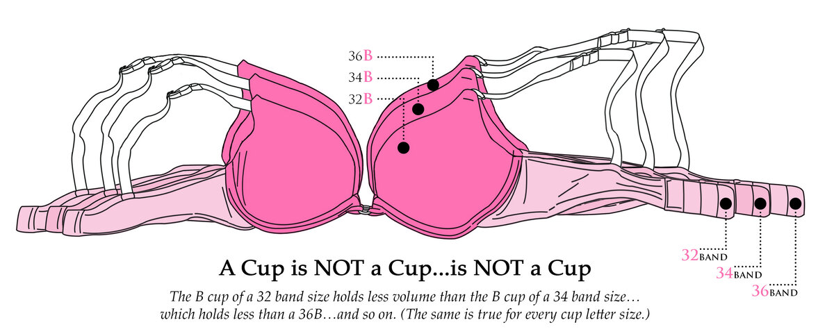  Когда говорят о размере бюстгальтера, имеют в виду два параметра: 1. Размер пояса, т.е. обхват 2. Размер чашки Размер пояса обычно маркируют в сантиметрах или дюймах.