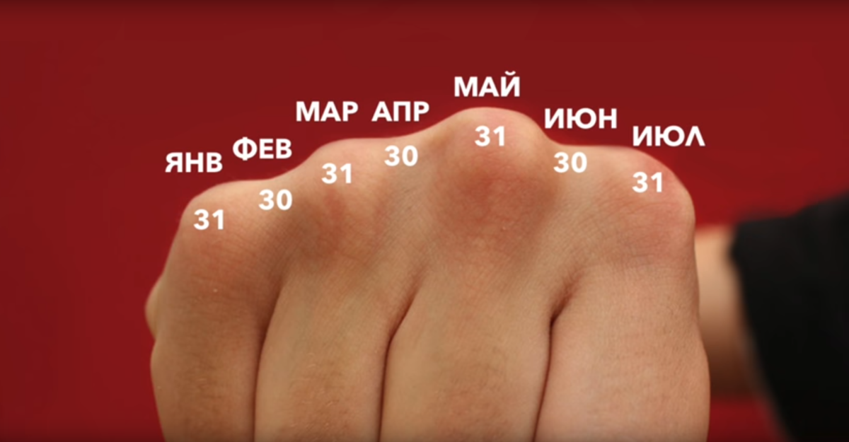 28 дней в месяце. Считать дни в месяце по костяшкам. Месяцы по костяшкам пальцев. Количество дней по костяшкам. Количество дней по костяшкам пальцев