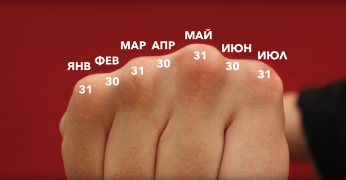 28 дней в месяце. Считать дни в месяце по костяшкам. Месяцы по костяшкам пальцев. Количество дней по костяшкам. Количество дней по костяшкам пальцев.