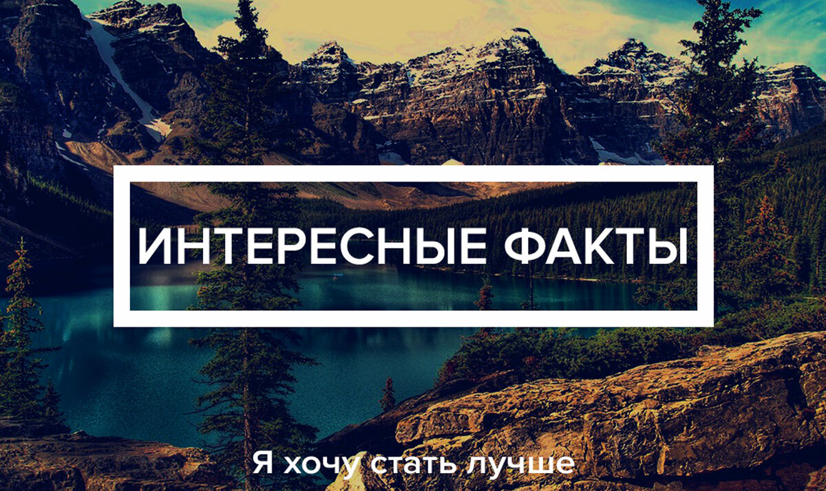 Видео факт канала. Интересные факты канал. Канал факт. 10 Фактов о Моем канале.