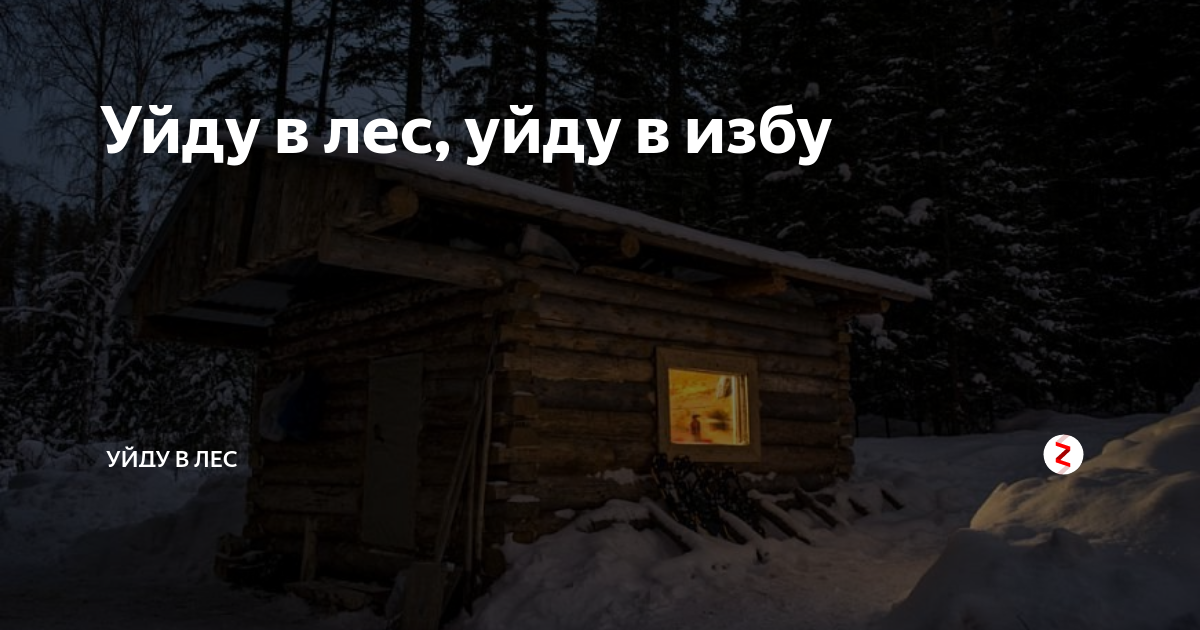 Хочу в лес картинки