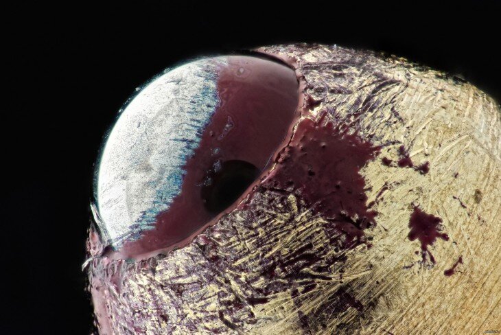 Шариковая ручка под микроскопом