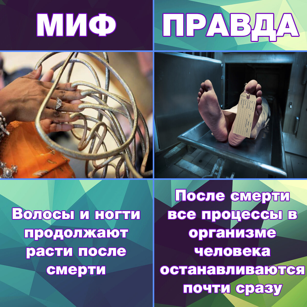 В организме не образуется больше волос и тканей ногтей, но и то, и другое продолжает расти в течение нескольких дней после смерти. По правде, из кожи начинает испаряться влага и из-за этого она немного оттягивается, это слегка обнажает волосы, а ногти выглядят длиннее. Так, если мерять ногти и волосы с места, в котором волосы выступают из кожи, то  технически выходит, что они «увеличиваются» уже после смерти.
 