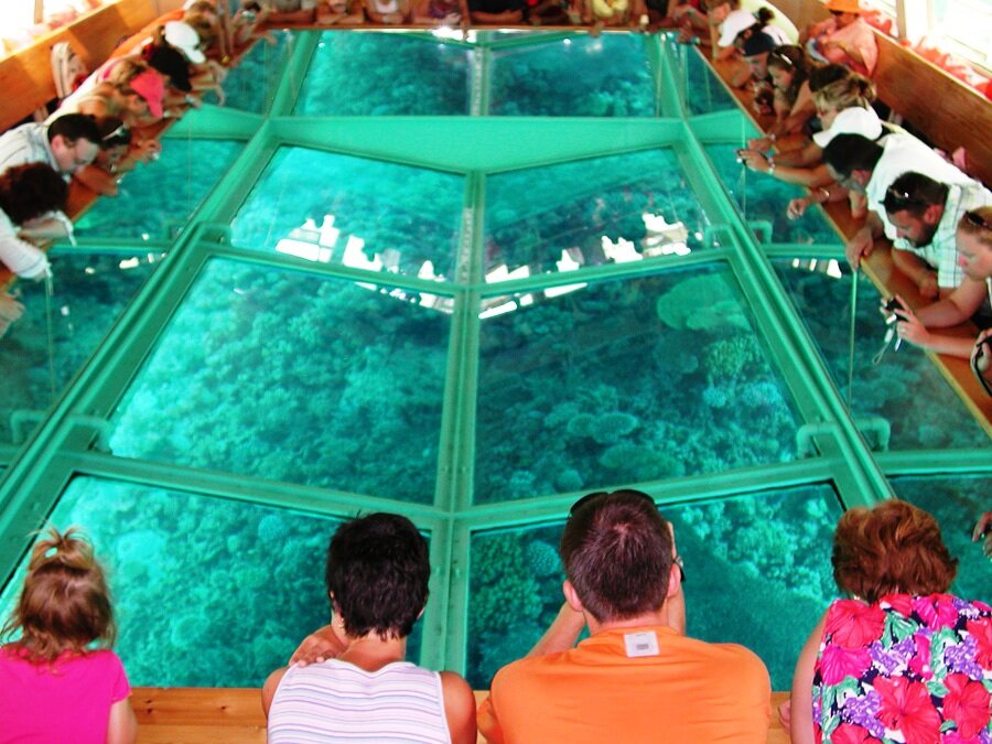 Египет экскурсия на лодке с прозрачным дном. Лодка со стеклянным дном. Лодка с прозрачным дном шарм эль шейх. Катер с прозрачным дном. Лодка со стеклянным дном египет.