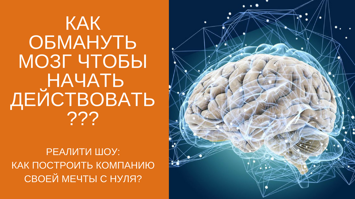Почему мозг хуже. Обмануть мозг. Мозг нас обманывает. Мозг и принятие решений. Как мозг принимает решения.