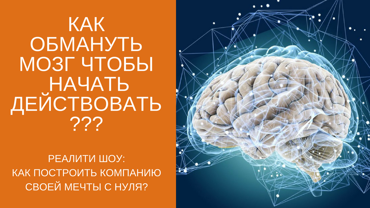 Мозгу нужно время. Обмануть мозг. Мозг нас обманывает. Мозг и принятие решений. Как мозг принимает решения.