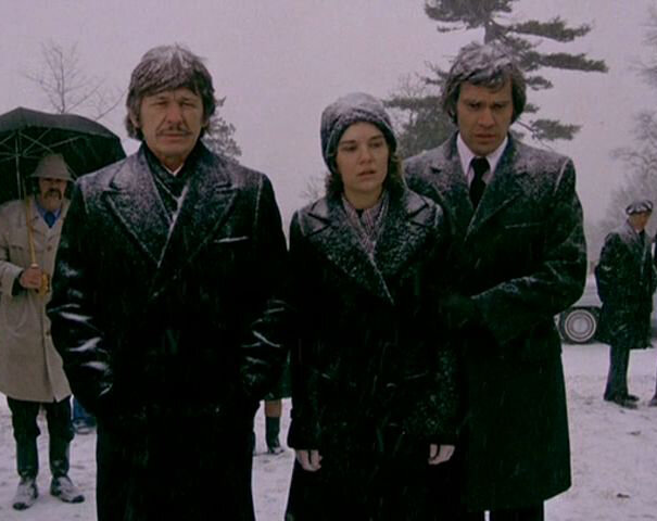 Во время съемок оригинального фильма в Нью-Йорке стоял сильный мороз