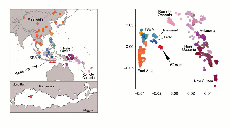 doi.org/10.1126/science.aar8486 American Association for the Advancement of Science