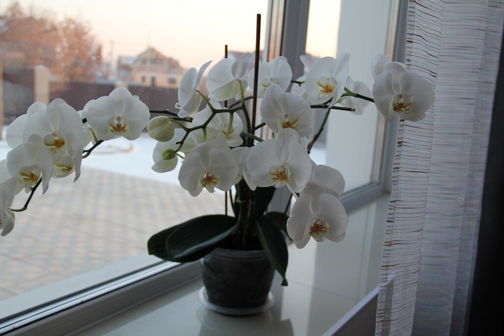 Изображение с открытого источника http://blagmama.ru