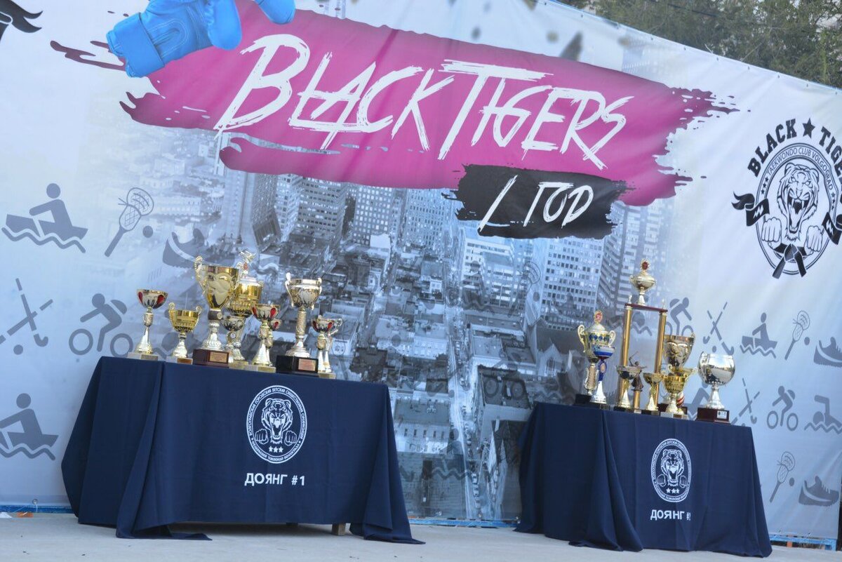 Кубки клуба BLACK TIGERS