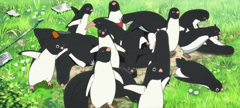 Кадр из фильма "Тайная жизнь пингвинов"