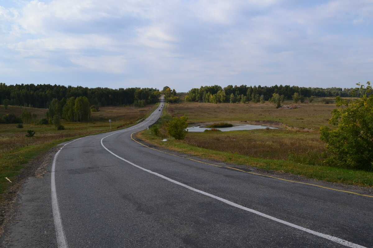 Бийский тракт. Тогульский тракт. Ельцовка Бийск. Тогульский тракт Бийск.