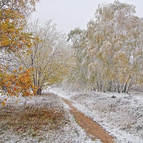 https://s8.hostingkartinok.com/uploads/images/2015/10/c5179a976cd087829e55b80907aace6f.jpg