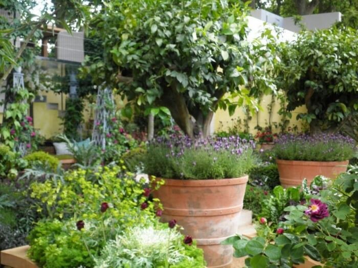  Установка системы видеонаблюдения и сигнализации для защиты палисадника 