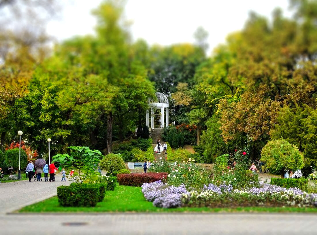 Парки города краснодара