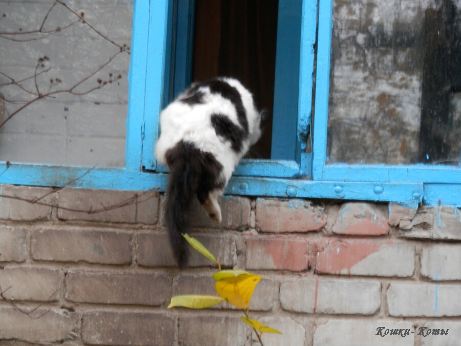 Ну вот, кажется у меня наконец-то получилось сюда забраться.