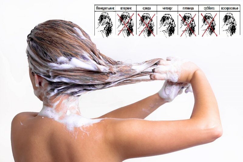 Как часто нужно мыть волосы на самом деле | Интересные факты | Дзен