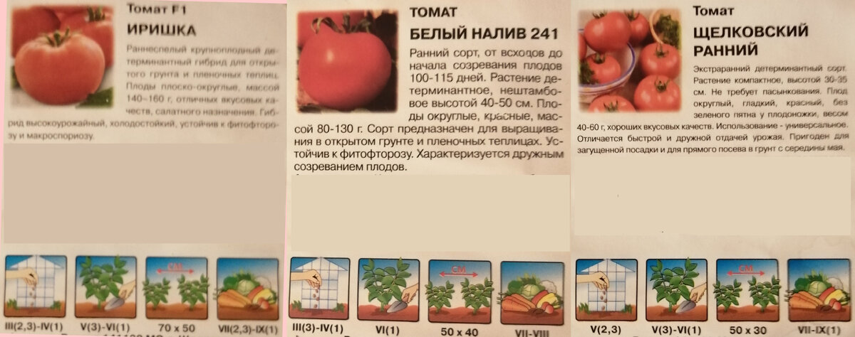 Мои томаты. Описание сортов.