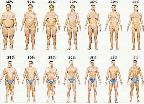 Посмотрите на себя и на эти изображения.