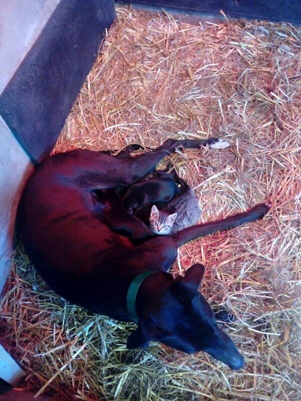 Все фото: Jim McCarthy