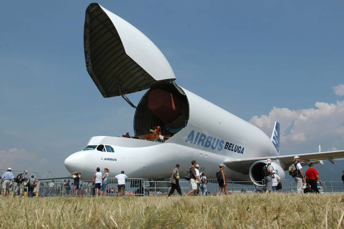 Other aircraft. Самолёт Аэробус Белуга. Аэробус a300-600st Beluga. A300-600st Beluga. Airbus Beluga грузовые самолёты.