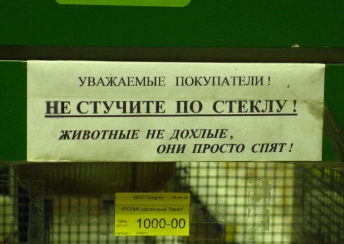 Источник: http://musf.ru