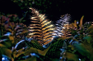 фото из инета