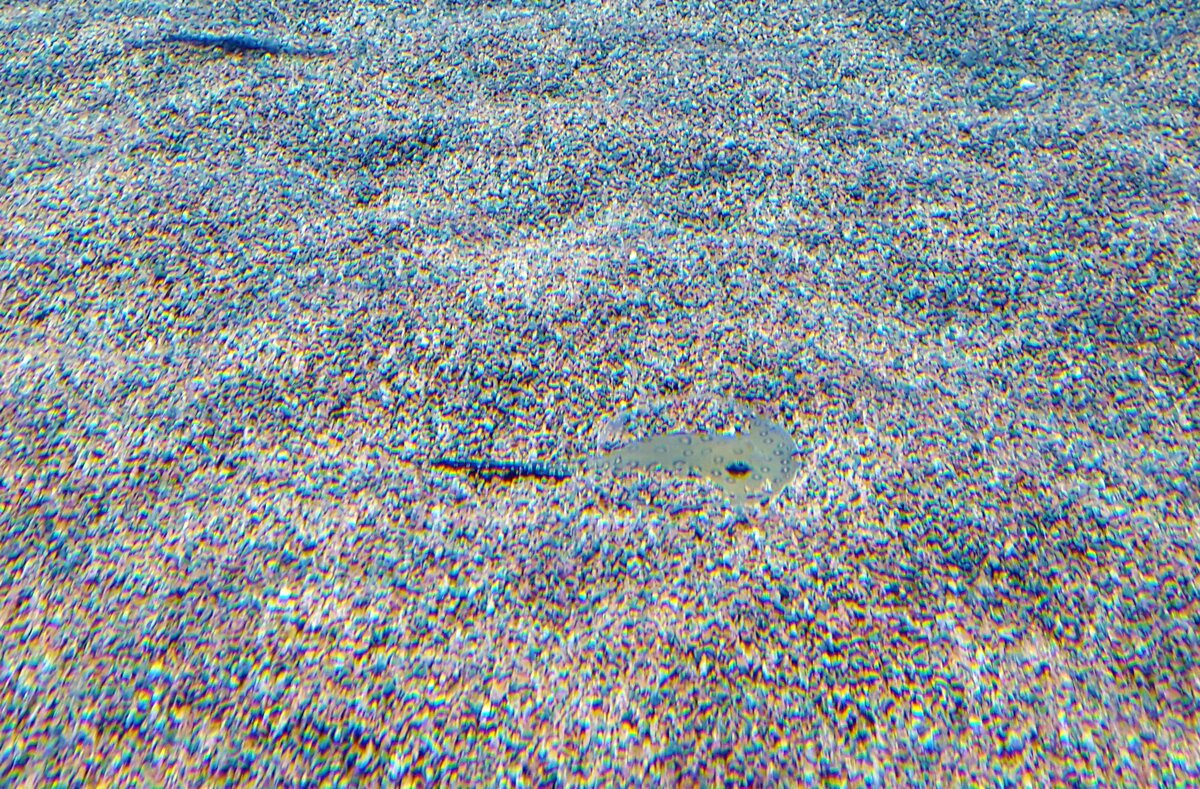 "Смотри под ноги человек!"