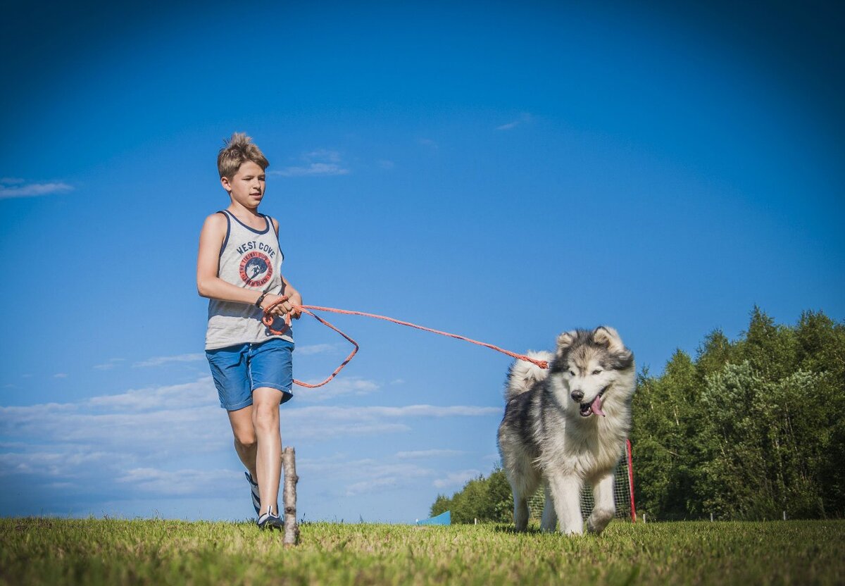«Хочу гулять самостоятельно!»