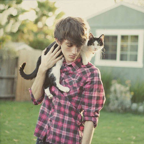 Фото взято из свободных источников