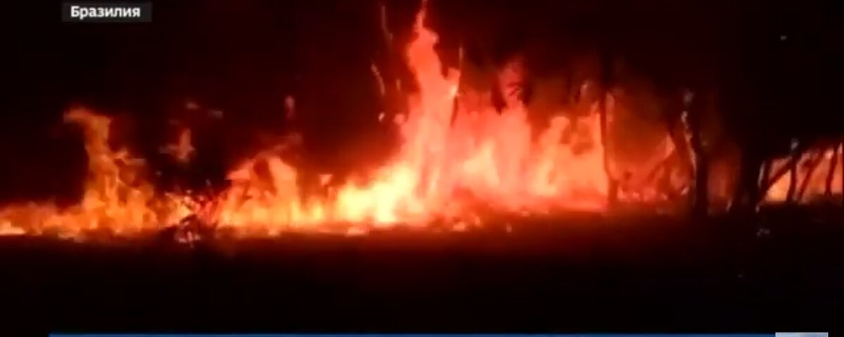 Амазонка, Бразилия 