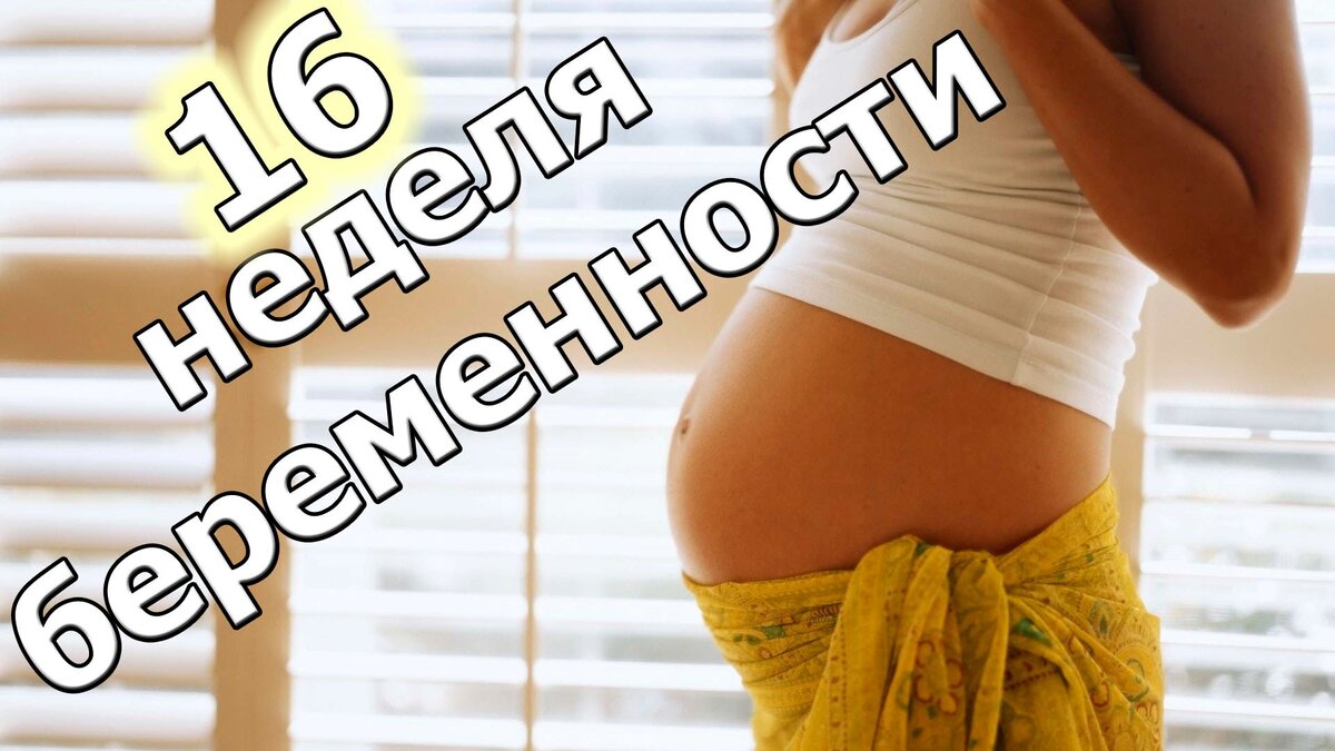 16 неделя беременности