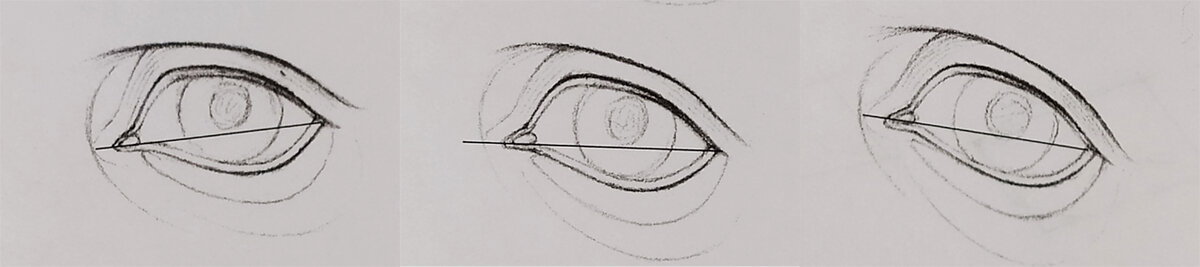 Схема глаз рука