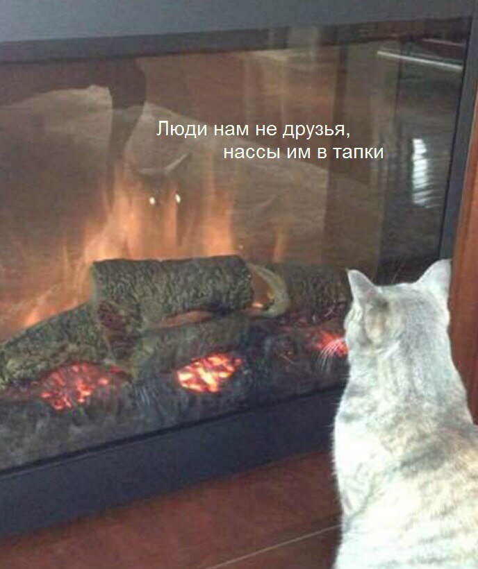 Лучшая защита - нападение
