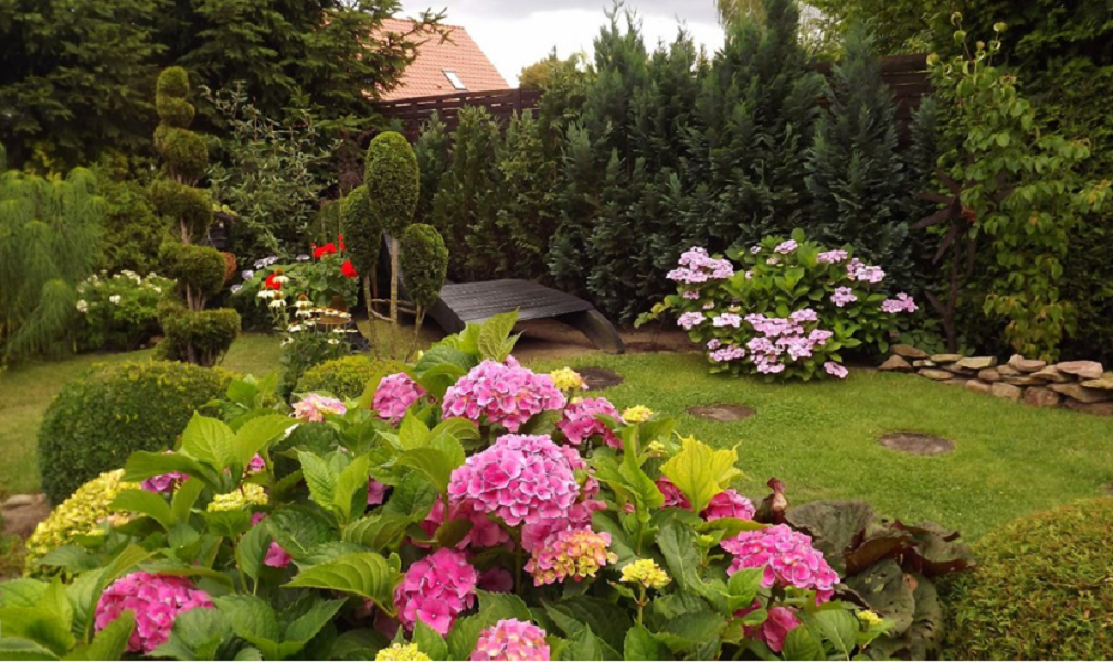 Источник: Google. Картинки