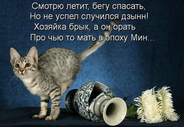 Тоше она очень мешала на его комоде 