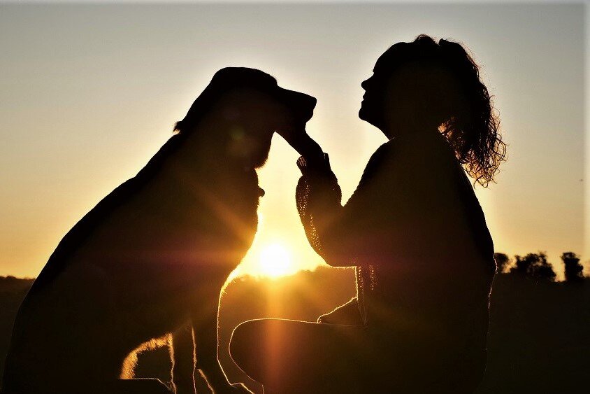 Иллюстрационное фото взято на сайте pixabay.com