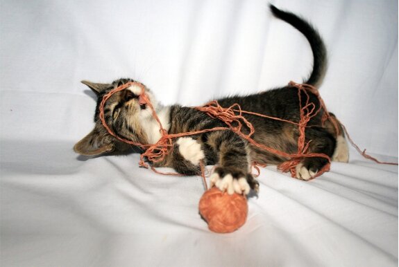 Ну правда, как?! https://avatars.mds.yandex.net/get-pdb/51720/b6c7863d-1041-42f3-9742-4240eb9b21d5/s1200