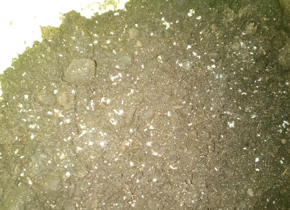 Петуния "Зимний шар" (10.02) Листайте далее.