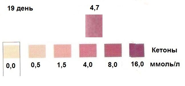 Кетоны - эталонная полоска и тест-полоска 19 дня