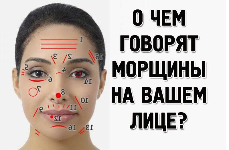Семечки мы любим! И правильно делаем. 