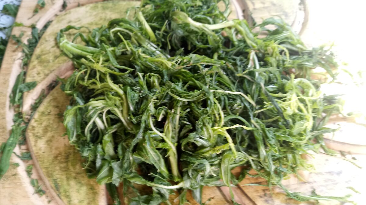 Лист нужно скрутить(смять) что бы запустить процесс ферментации.