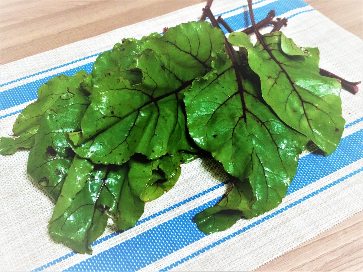 Свекольная ботва