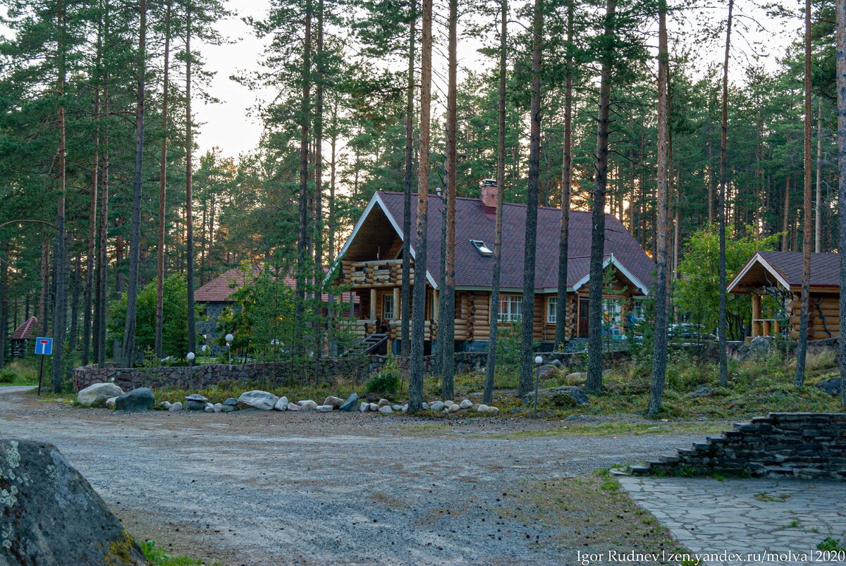 отдых в лесу в тишине и покое...