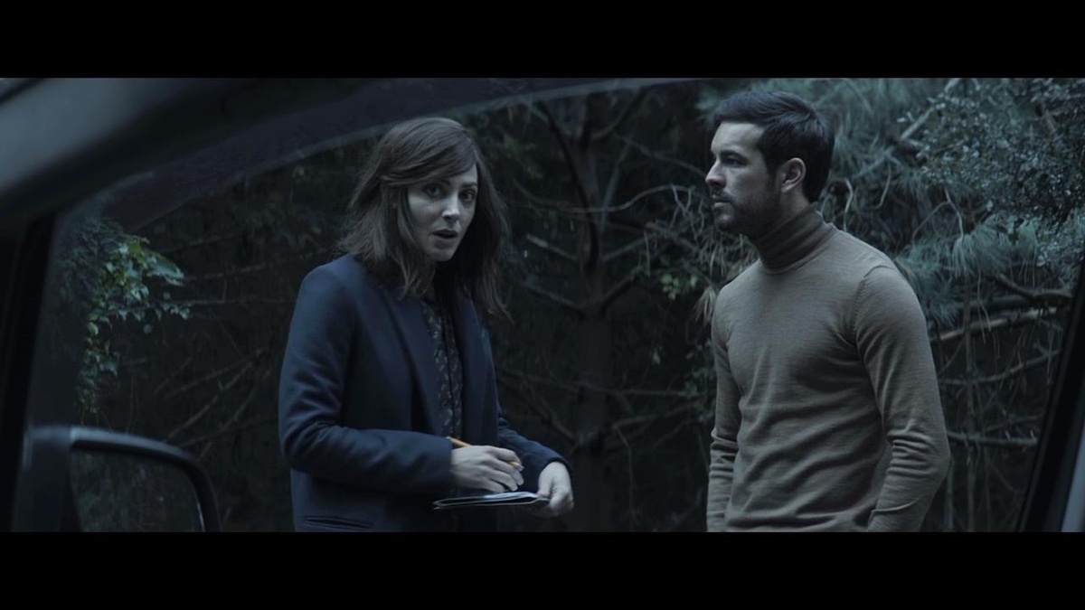 Молодого бизнесмена Адриана Дориа обвиняют в убийстве. И он решает воспользоваться услугами Вирджинии Гудман, лучшего в стране специалиста по выходу из самых сложных ситуаций. Адриан содержится под домашним арестом, а завтра состоится судебное заседание, поэтому вечером к нему приходит Вирджиния, чтобы придумать наилучшую стратегию защиты. Для неё это последнее дело, и она не собирается его проигрывать.